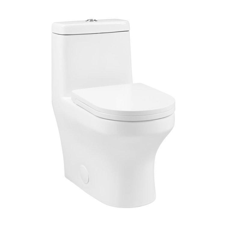 Vezina White Elongated One-Piece Dual Flush Toilet