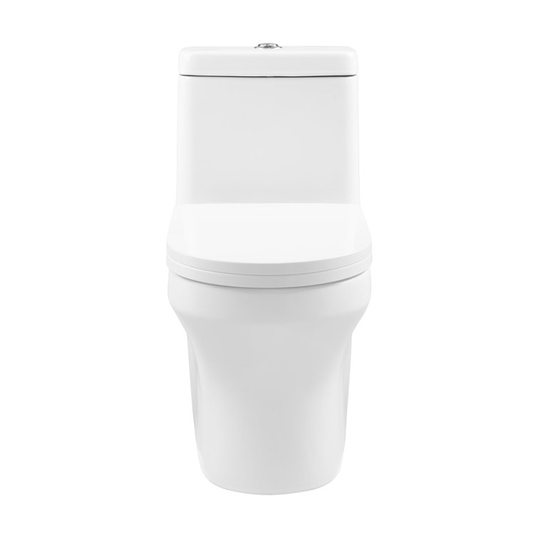 Vezina White Elongated One-Piece Dual Flush Toilet