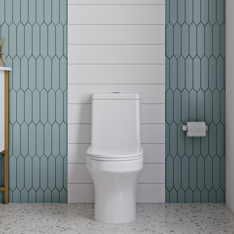 Vezina White Elongated One-Piece Dual Flush Toilet