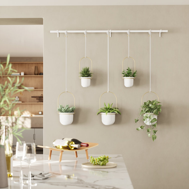 Triflora Adjustable White/Brass Indoor/Outdoor Hanging Planter