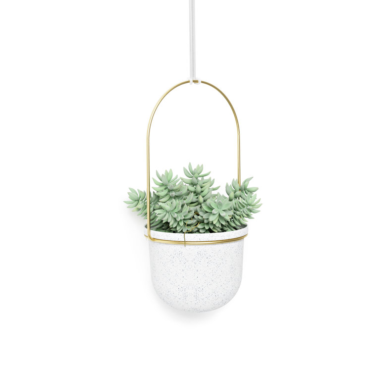 Triflora Adjustable White/Brass Indoor/Outdoor Hanging Planter