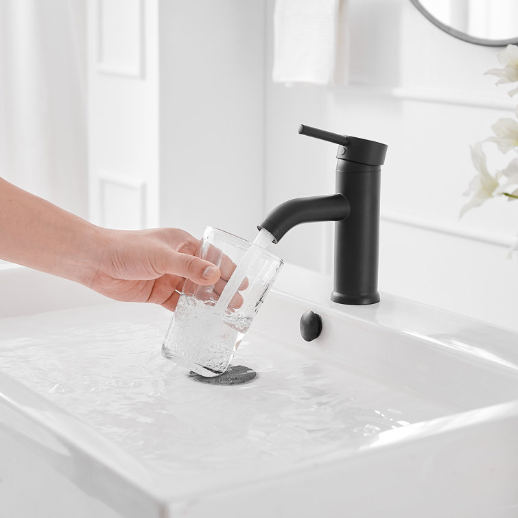 Matte Black Stainless Steel Single-Handle Bathroom Faucet