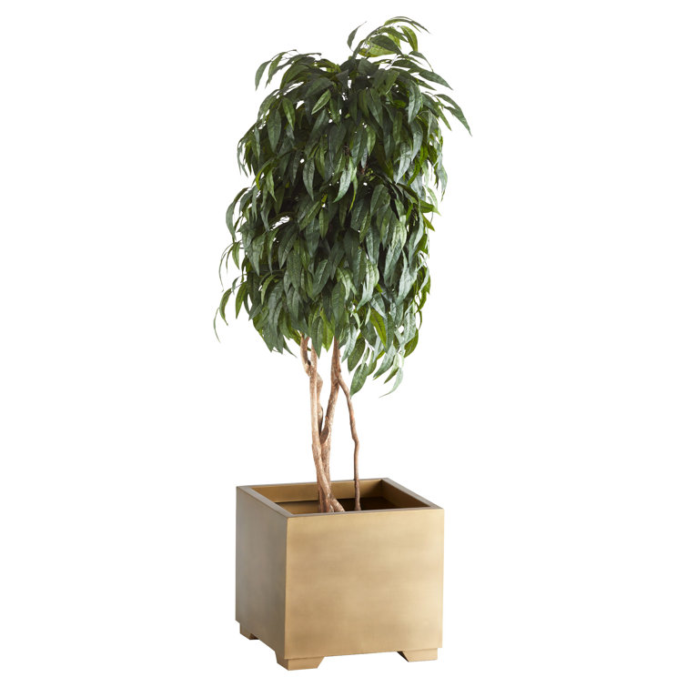 Aster Gold Finish Iron Cubic Planter Box