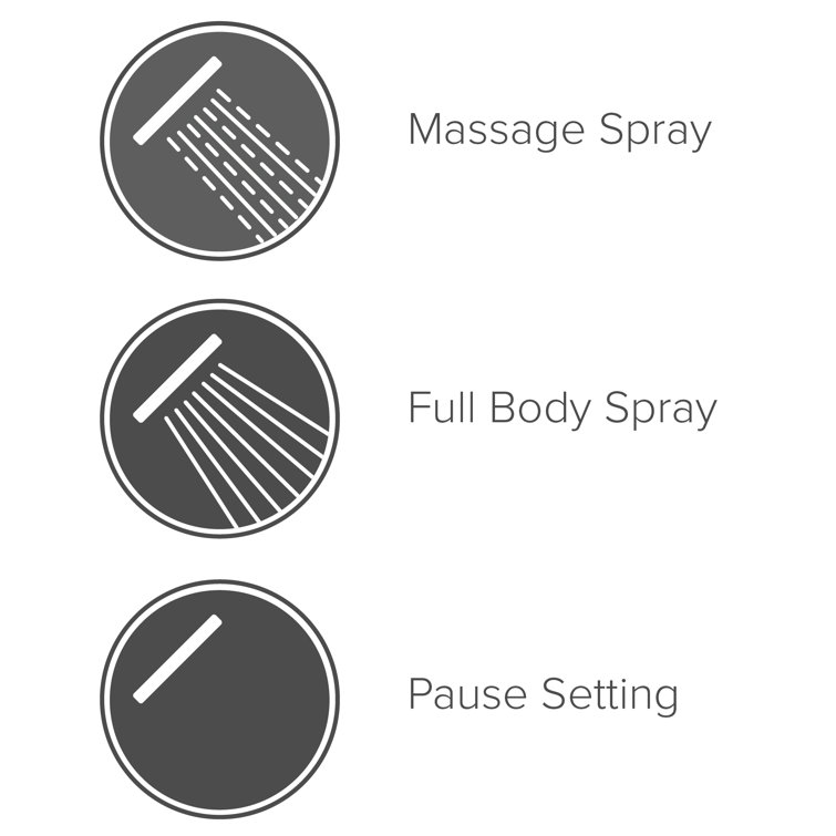 Pulse Chrome Multifunction Wall Mounted Shower Head
