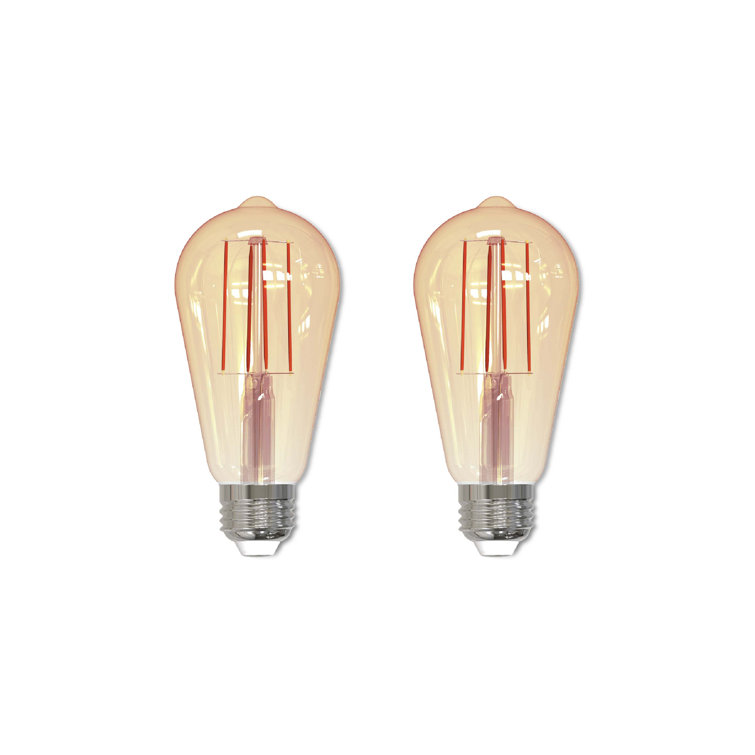 Amber Vintage Style Dimmable LED ST18 Light Bulbs, 2-Pack