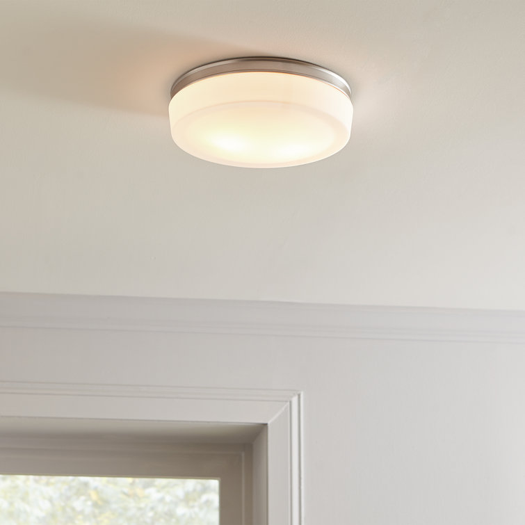 Elegant Satin Nickel 2-Light Indoor/Outdoor Flush Mount with Opal Etched Glass