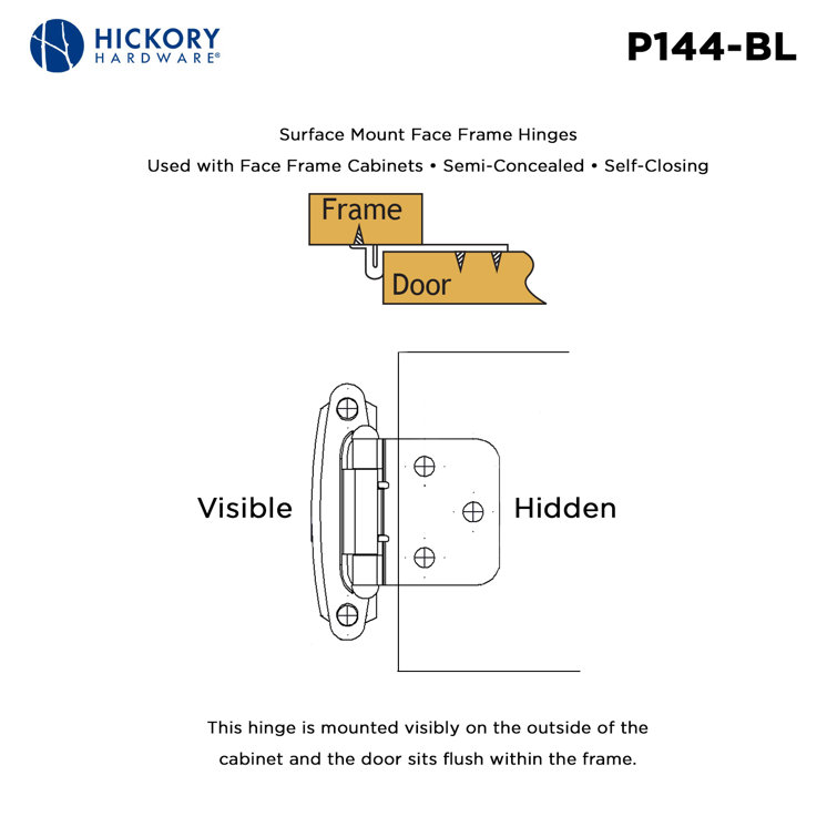 Polished Brass Self-Closing Flush Cabinet Hinges