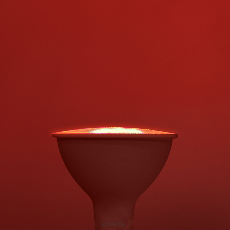 Red LED PAR38 Decorative Flood Light Bulb