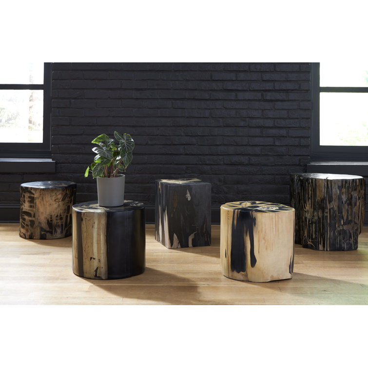 Modern Organic Brown Round Resin Cast Petrified Wood Stool