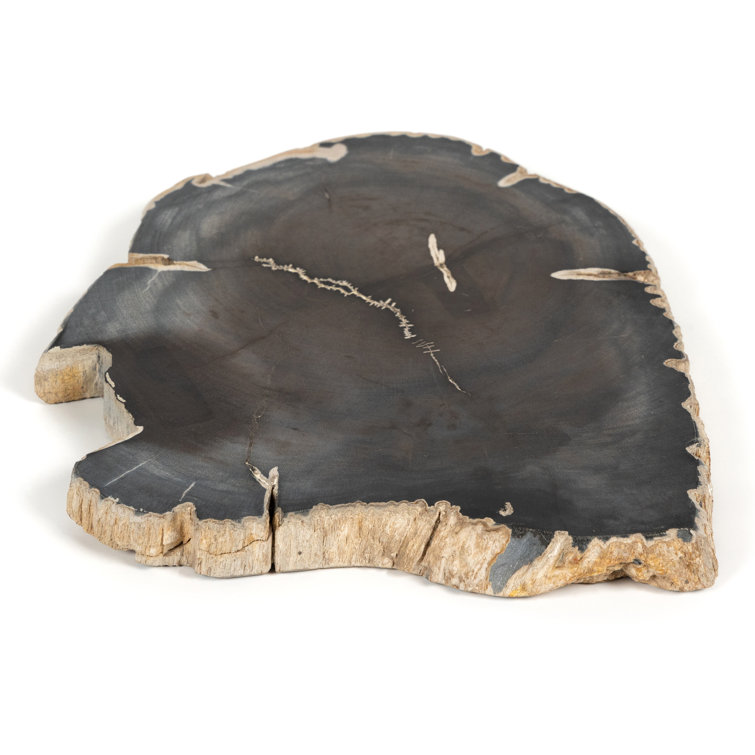 Dark Petrified Wood Decorative Slab