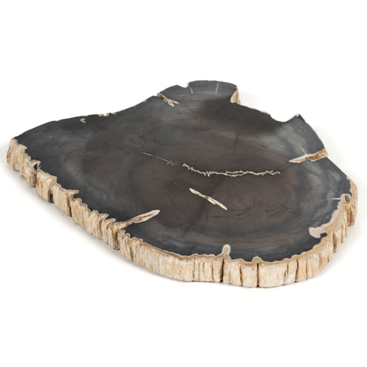 Dark Petrified Wood Decorative Slab