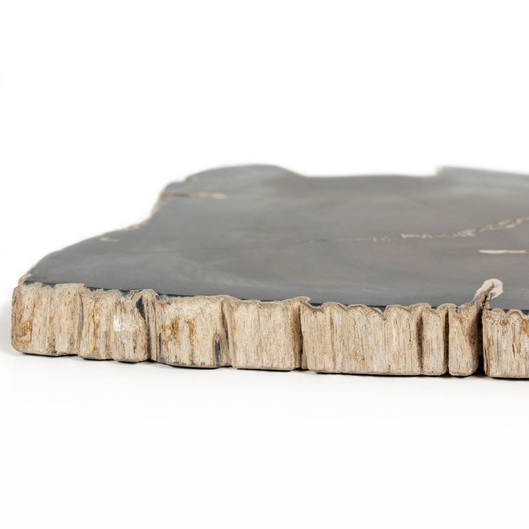 Dark Petrified Wood Decorative Slab