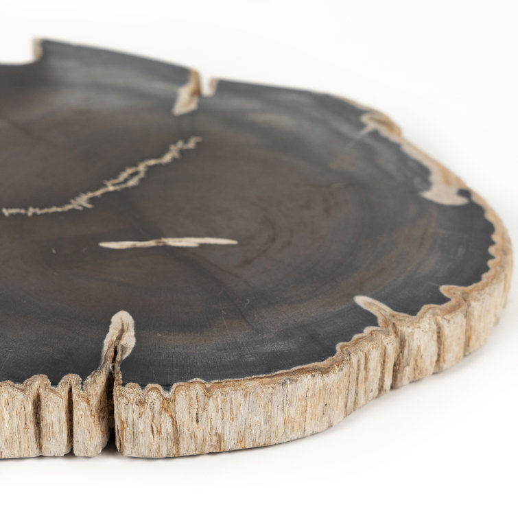 Dark Petrified Wood Decorative Slab