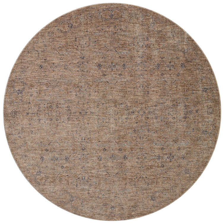 Traditional Taupe & Blue Distressed Area Rug 4' x 5'7"