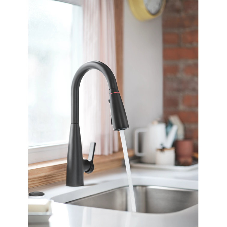 Matte Black Pull-Down Kitchen Faucet with Pull-out Spray