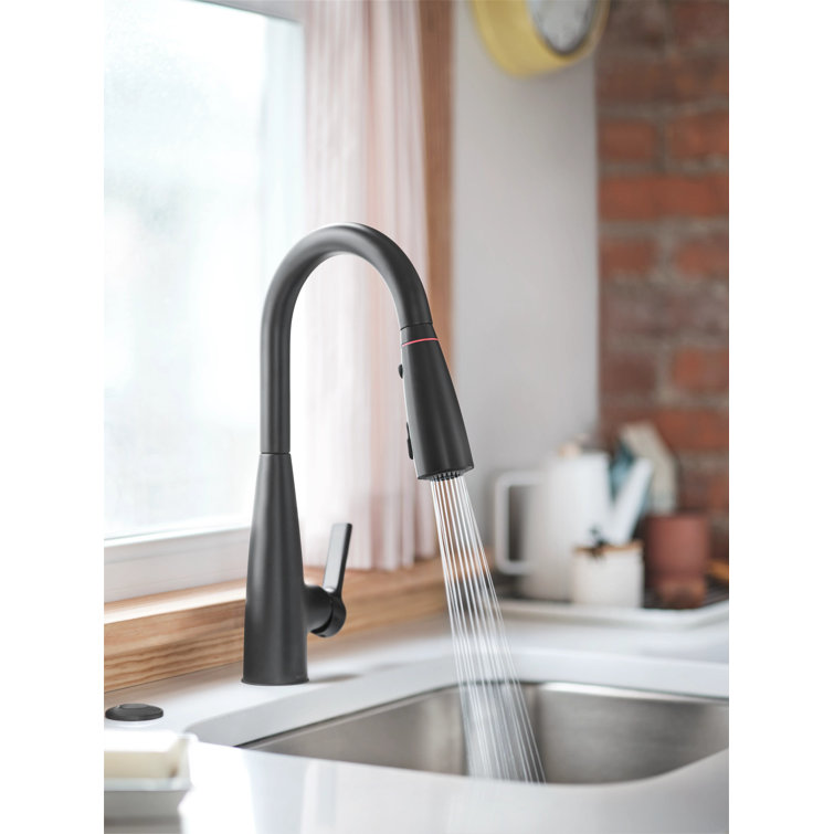 Matte Black Pull-Down Kitchen Faucet with Pull-out Spray