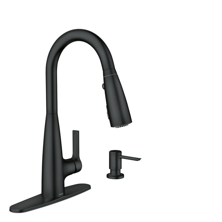 Matte Black Pull-Down Kitchen Faucet with Pull-out Spray