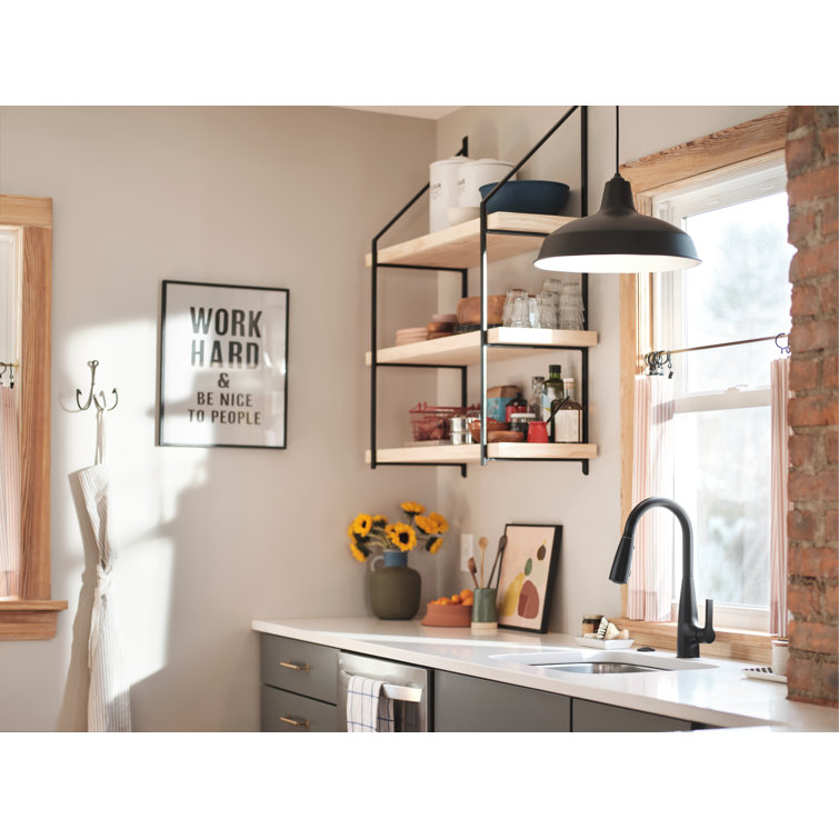 Matte Black Pull-Down Kitchen Faucet with Pull-out Spray