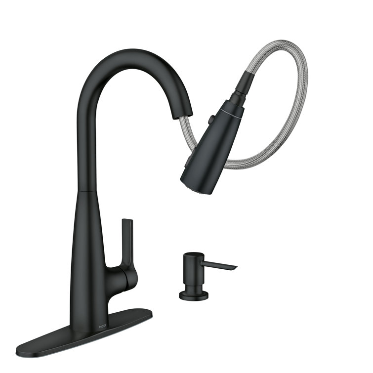 Matte Black Pull-Down Kitchen Faucet with Pull-out Spray