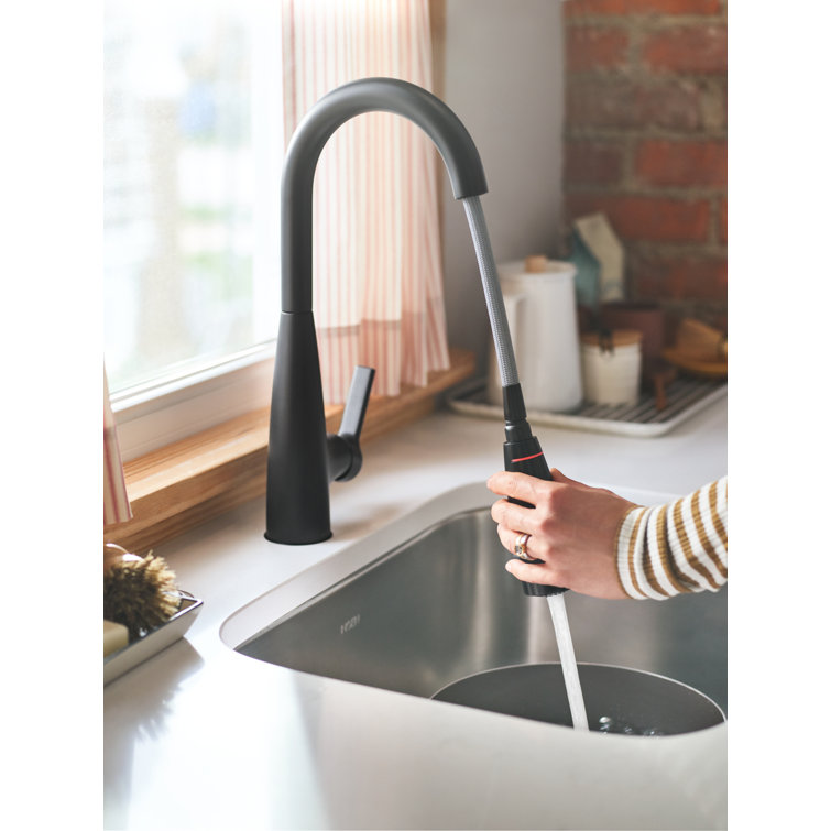 Matte Black Pull-Down Kitchen Faucet with Pull-out Spray