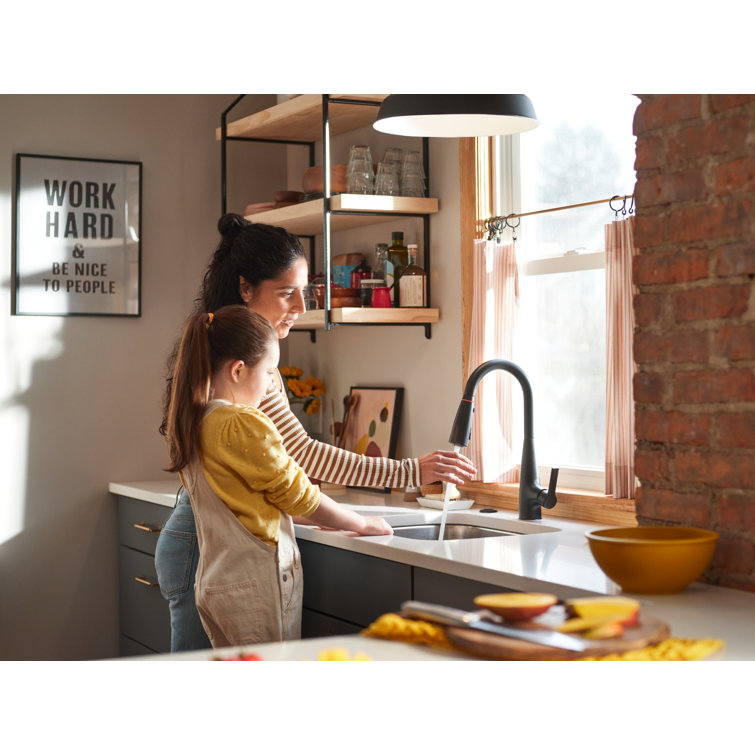 Matte Black Pull-Down Kitchen Faucet with Pull-out Spray