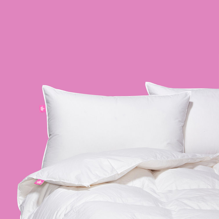 Standard White Down Medium Support Hypoallergenic Pillow