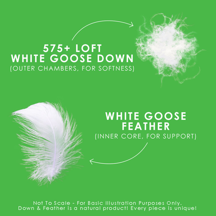 King Size White Goose Feather Down Pillow