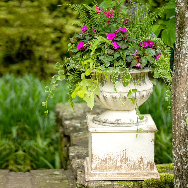 Distressed White Metal Garden Urn with Pedestal Base