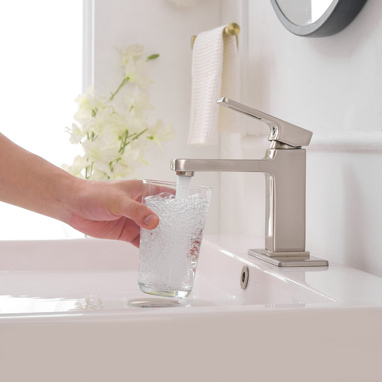 Brushed Nickel Single-Handle Low-Arc Bathroom Faucet with Drain Assembly