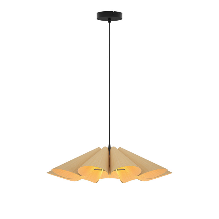 Ashwood Elegance 24" Black Ash Pendant with Energy Star LED