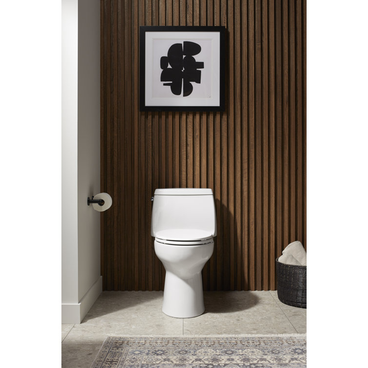 Black High Efficiency One-Piece Elongated Toilet