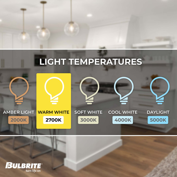 7 Watt White G25 LED Milky Dimmable Light Bulb (2-Pack)
