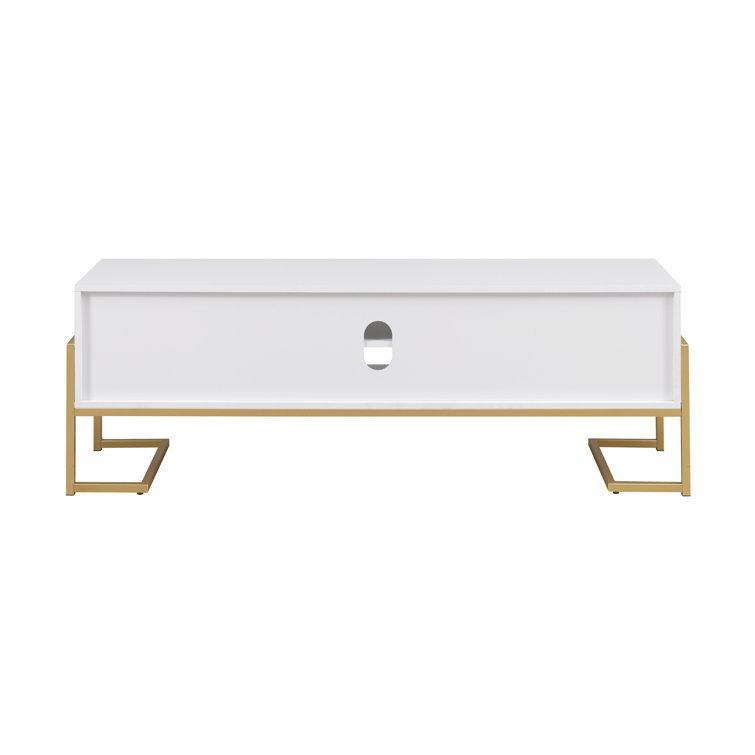 60" White Modern Wood Media Console with Cabinet