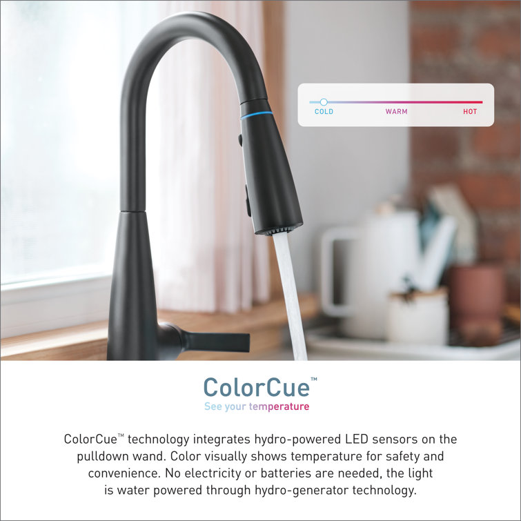Matte Black Pull-Down Kitchen Faucet with Pull-out Spray