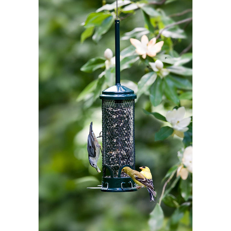 Green Metal and Plastic Squirrel Resistant Hanging Tube Bird Feeder