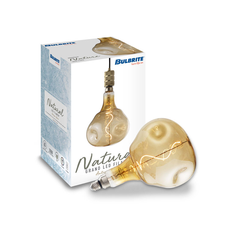 Oversized Amber Glass LED Edison Bulb, 60 Watt Equivalent