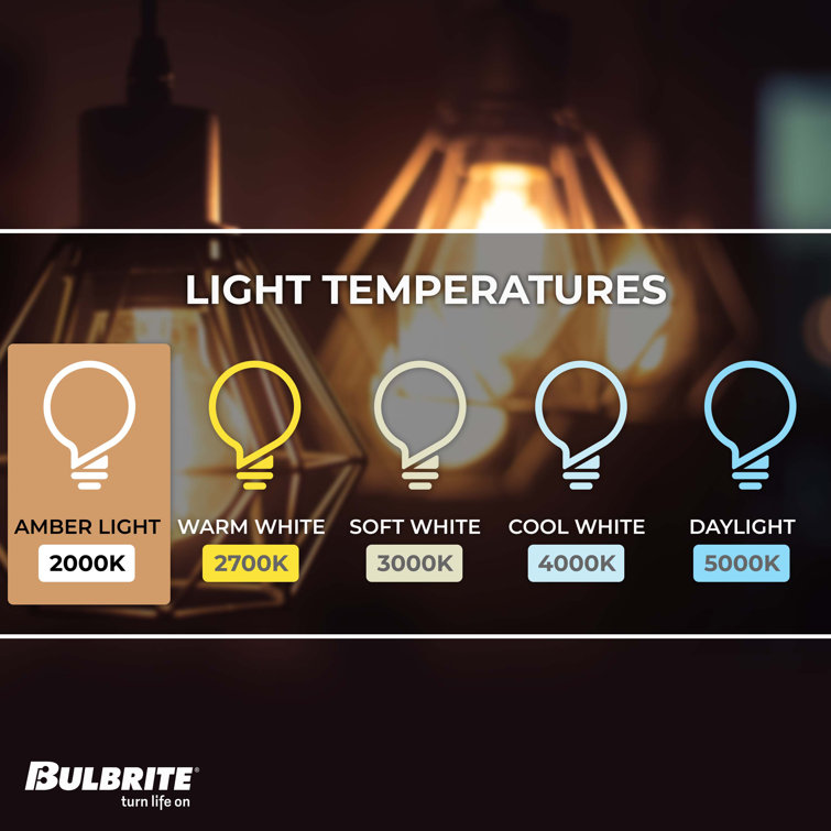 Oversized Amber Glass LED Edison Bulb, 60 Watt Equivalent