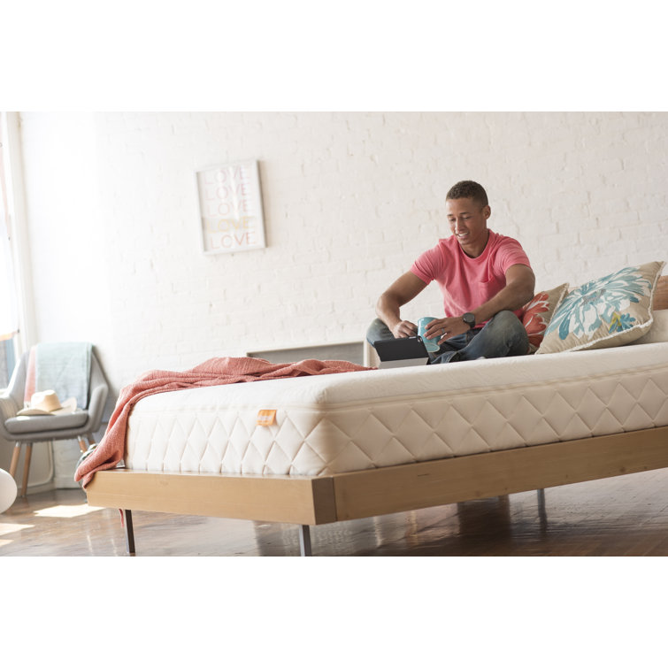 King Organic Hybrid Innerspring Latex Foam Mattress