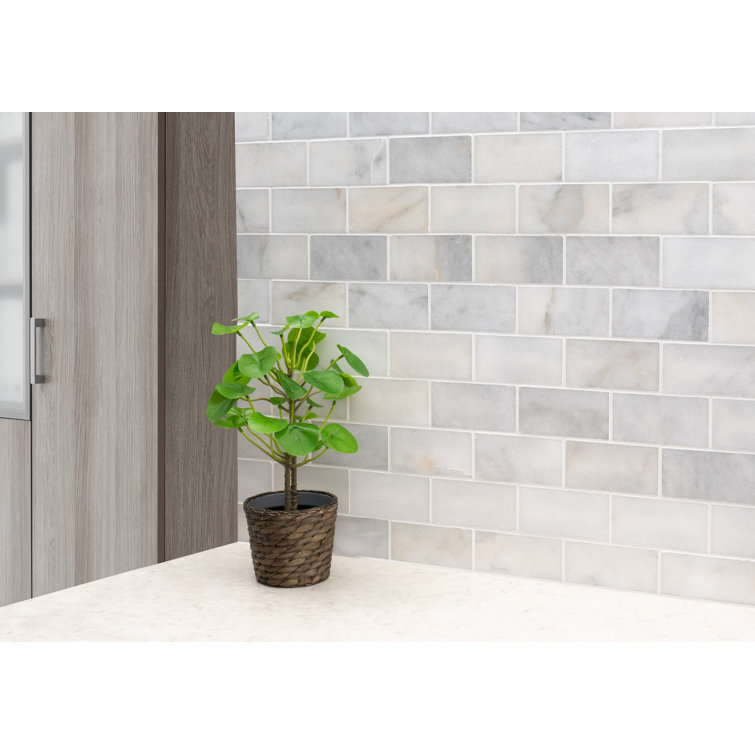 Greecian White 3" x 6" Polished Marble Subway Tile