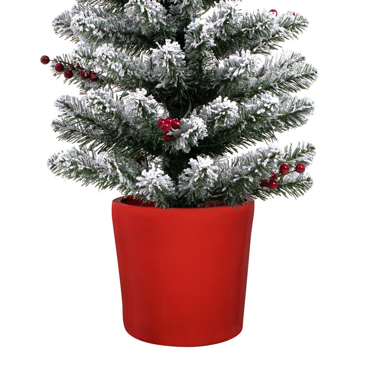 5' White Fir Artificial Christmas Tree with Warm Lights and Red Pot