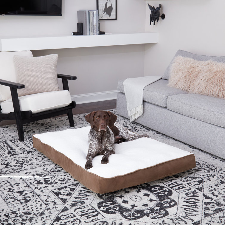 Small Latte Orthopedic Sherpa Dog Bed with Microfiber Cover