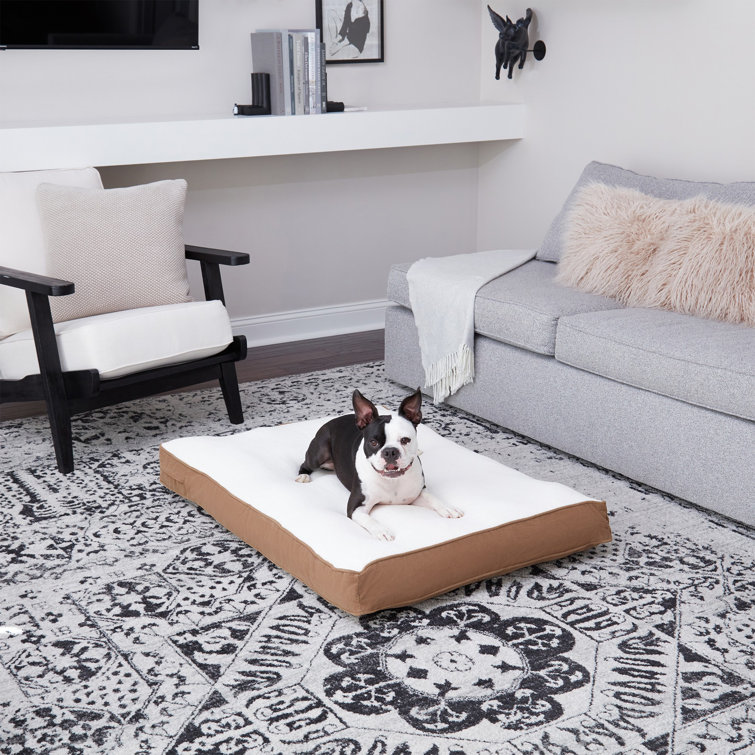Small Latte Orthopedic Sherpa Dog Bed with Microfiber Cover