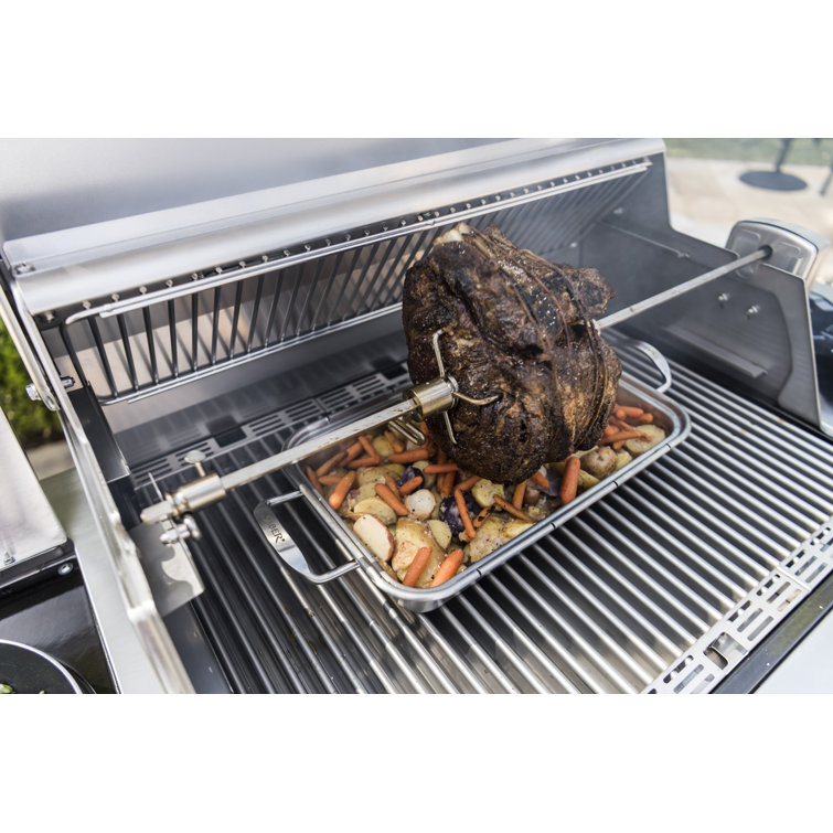 Stainless Steel Rotisserie Kit with Case and Motor