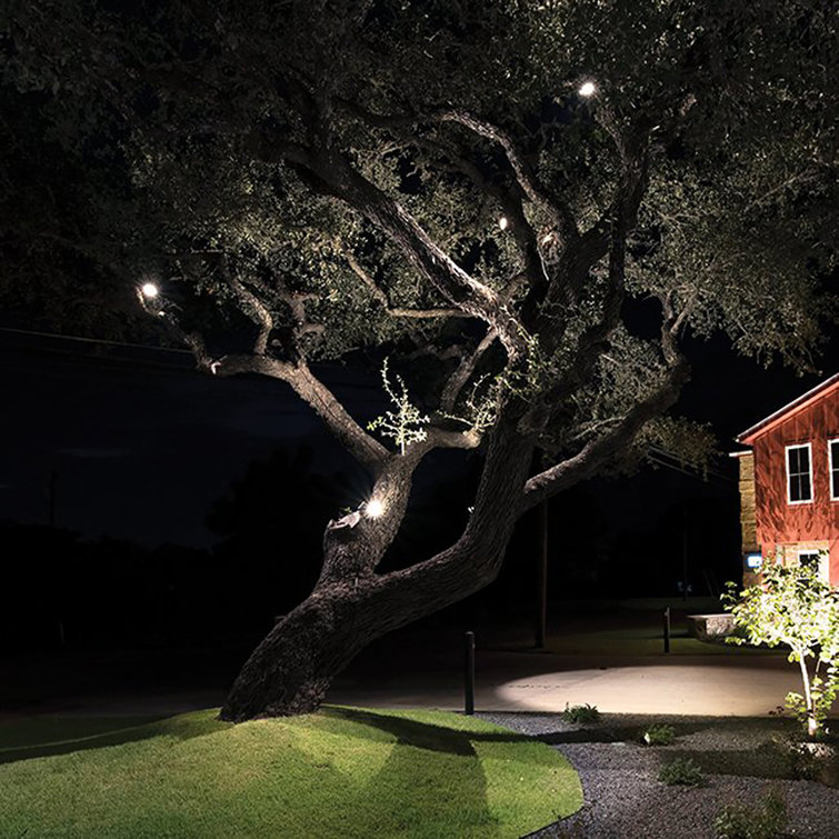 Bronze Adjustable Beam LED Outdoor Spotlight