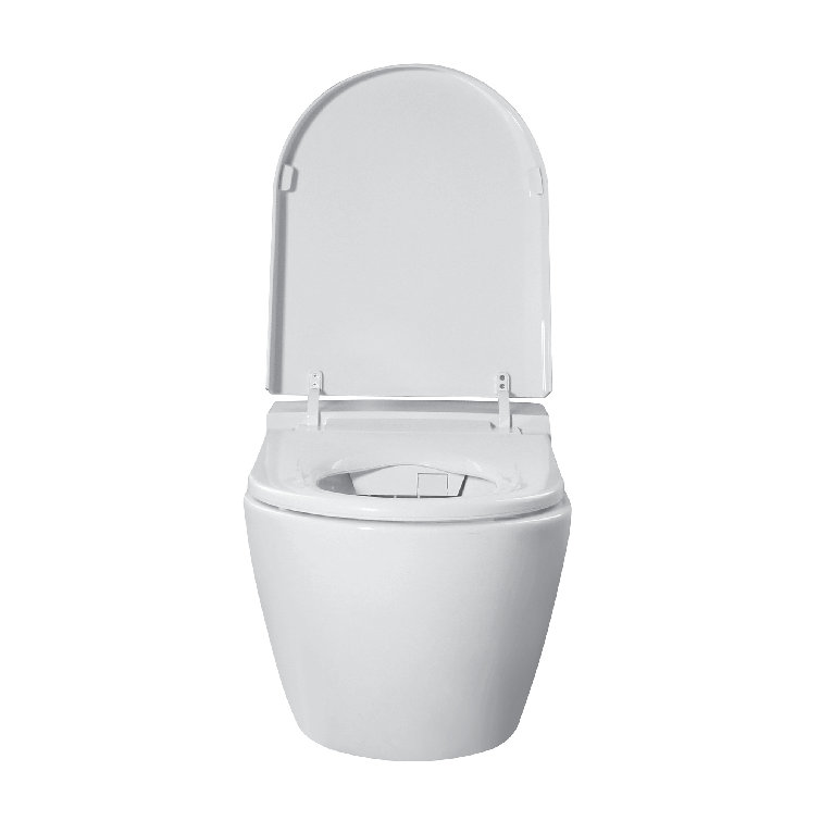 White Smart Wall-Mounted Toilet with Bidet Seat and Chrome Push Buttons
