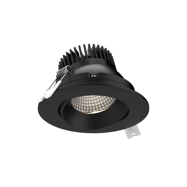 Black Aluminum LED Indoor/Outdoor Recessed Downlight