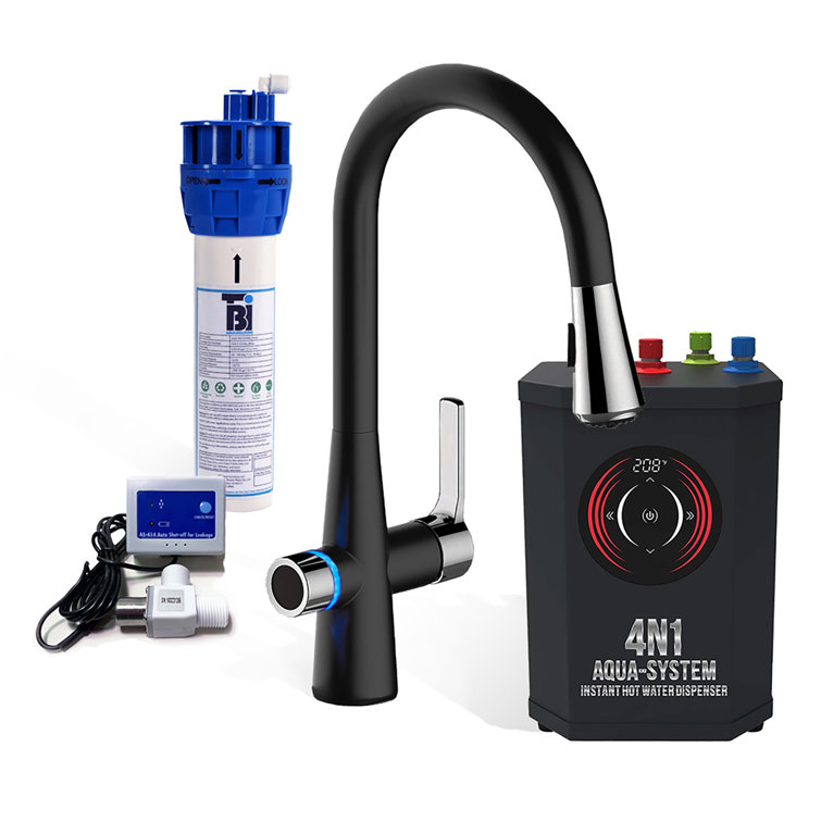 Matte Black Pull-out Spray Kitchen Faucet with Filter System