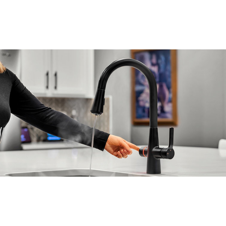 Matte Black Pull-out Spray Kitchen Faucet with Filter System