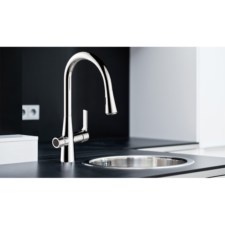 Matte Black Pull-out Spray Kitchen Faucet with Filter System
