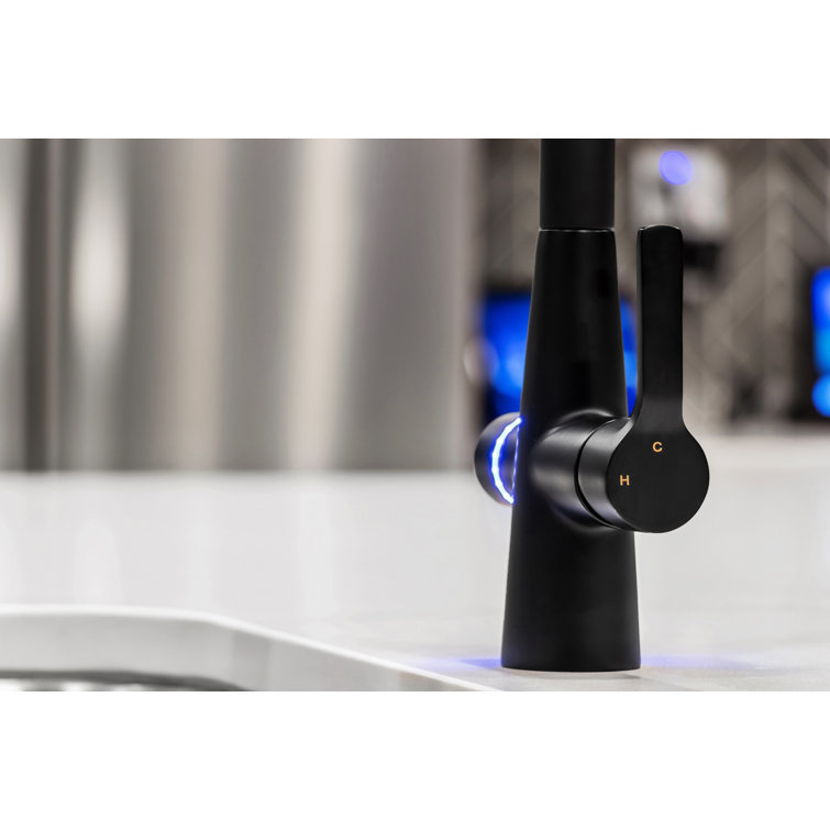 Matte Black Pull-out Spray Kitchen Faucet with Filter System